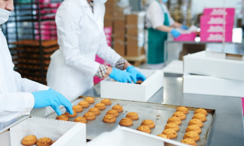 Food manufacturing line support