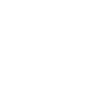 plane ticket icon