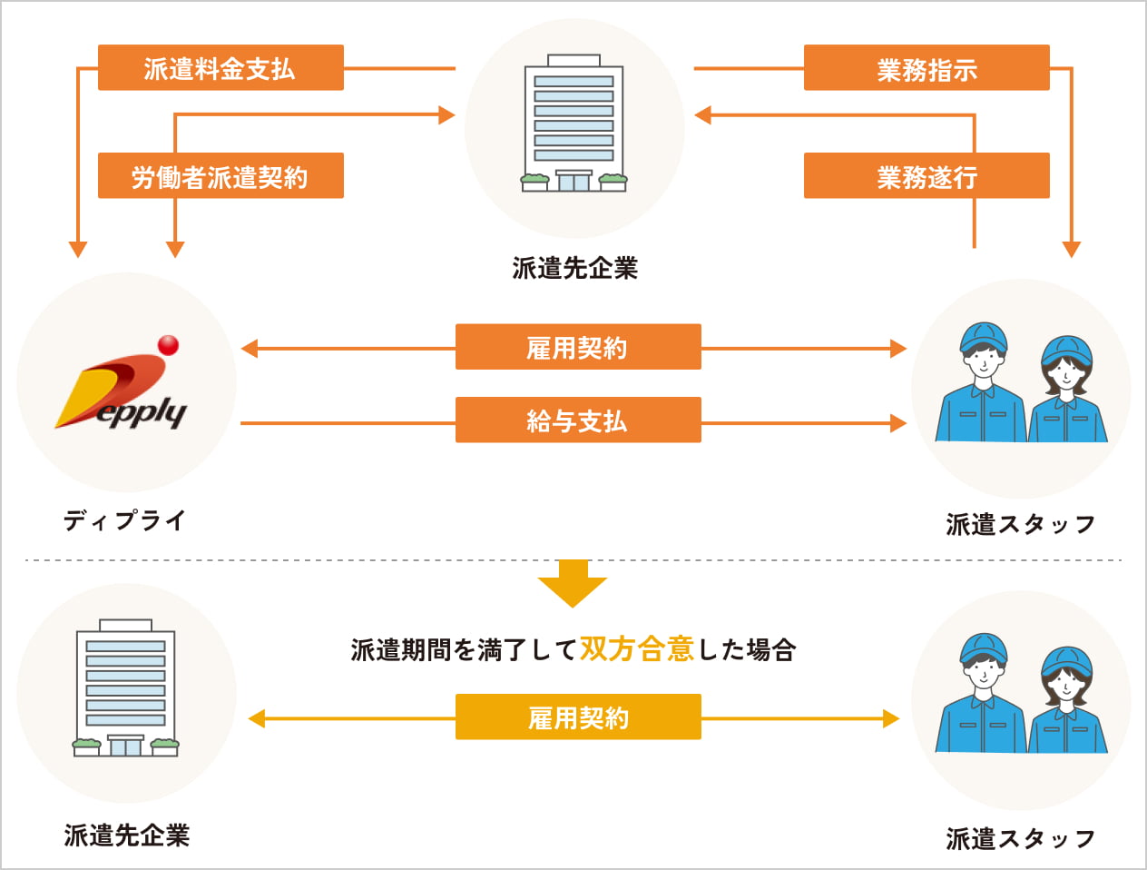 紹介予定派遣サービスの流れ